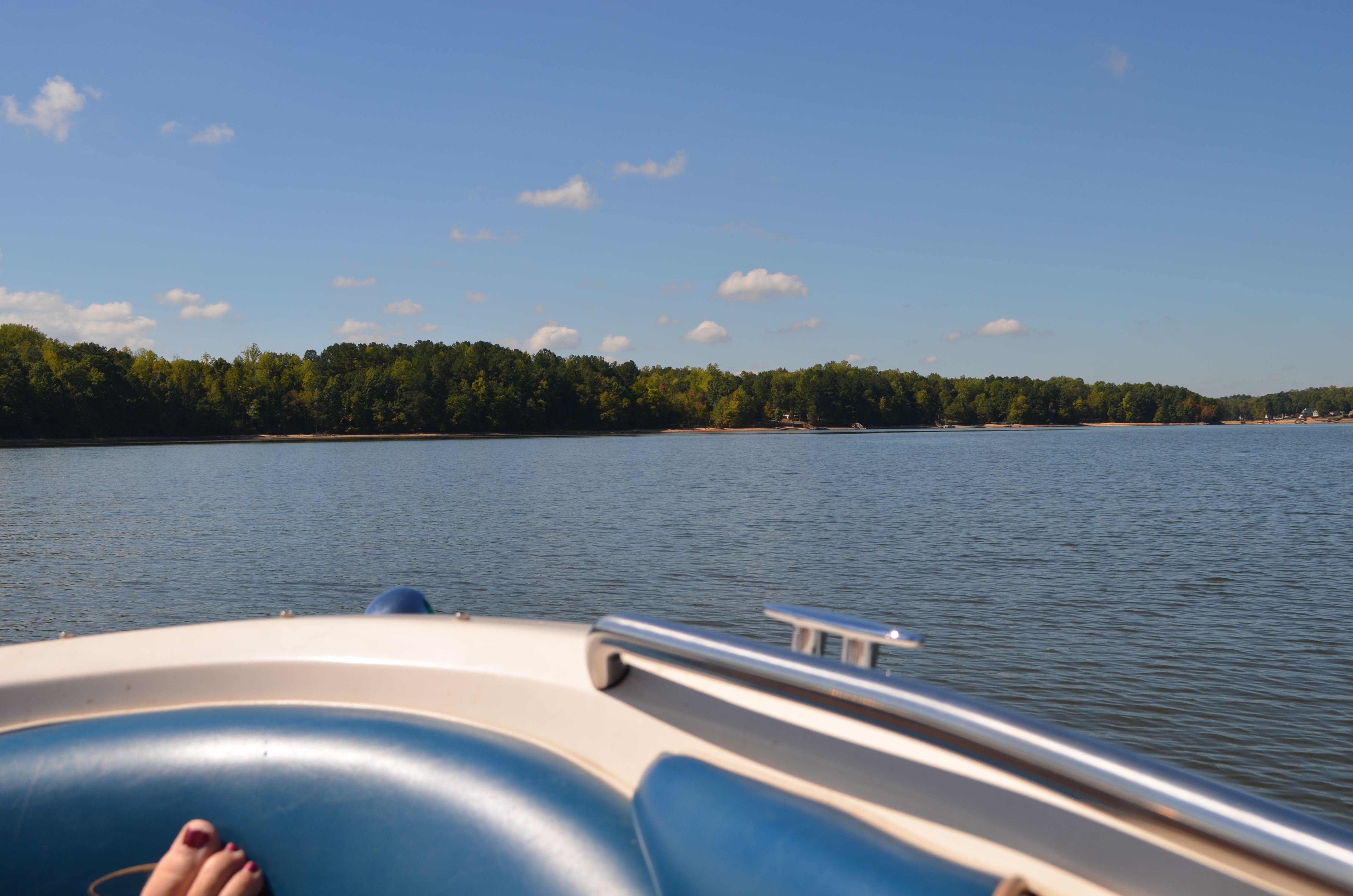 ./2015/23 - Grape Stomp/DSC_0664.JPG